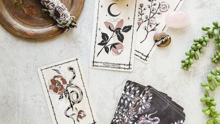 animal tarot cards