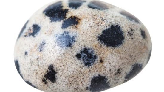 dalmatian stone healing properties